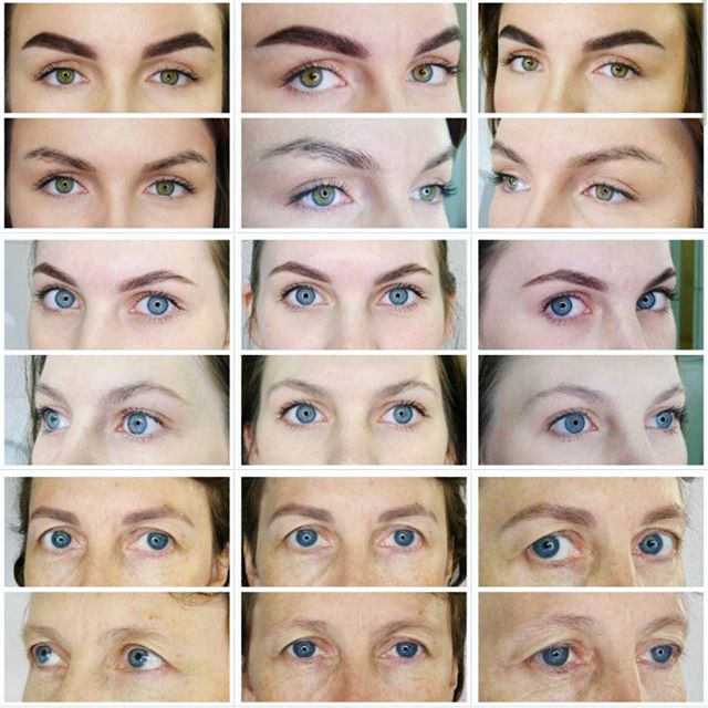 портфолио мастера бровиста